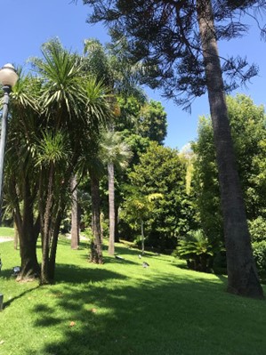 Gardens of  La Petite Afrique